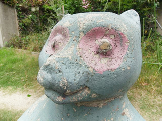 ブルーグレーのタヌキ ブルーグレーのタヌキ