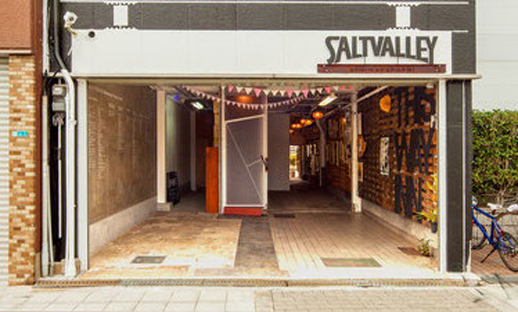 saltvalley