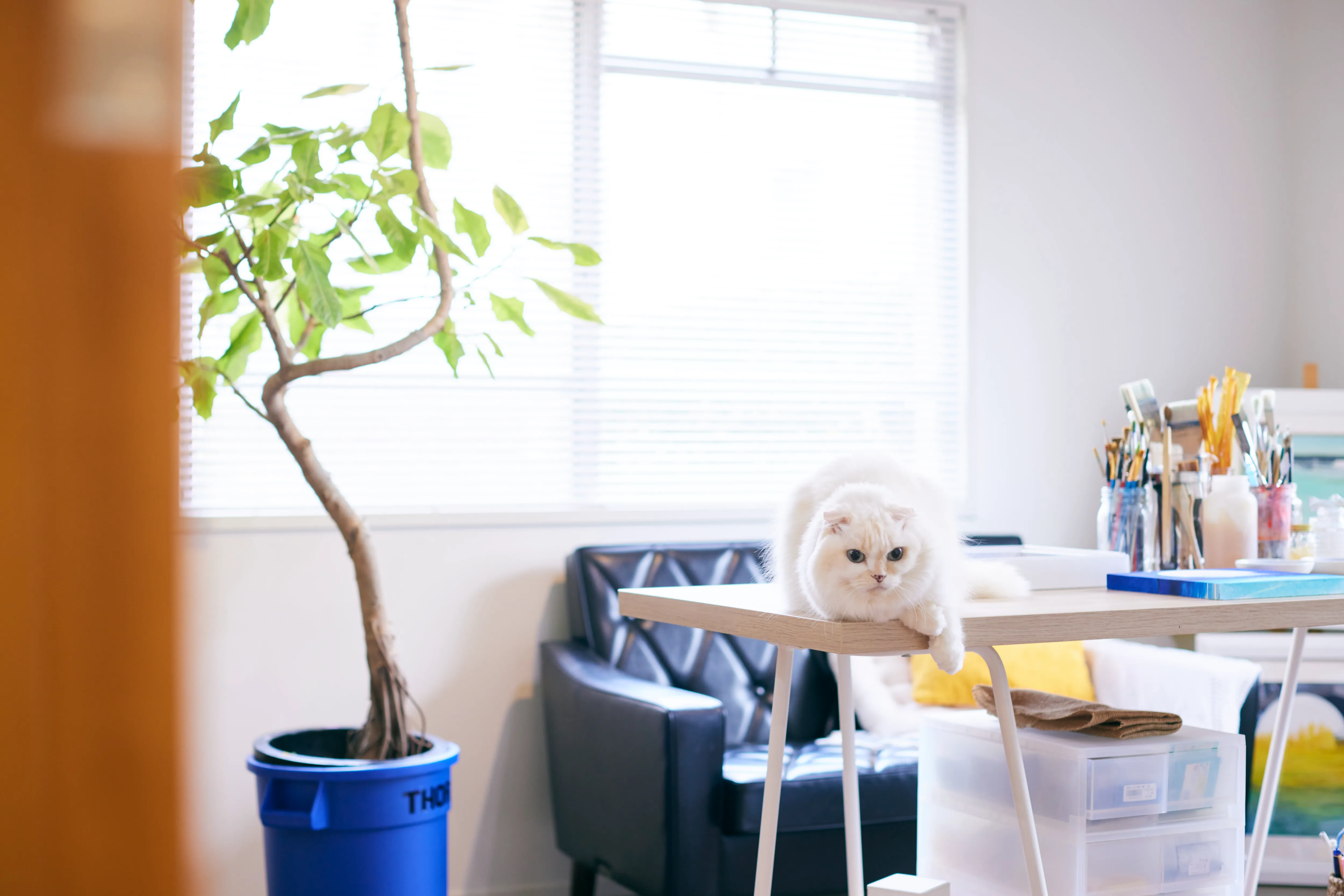 ジャンクが引き立つセレクトで